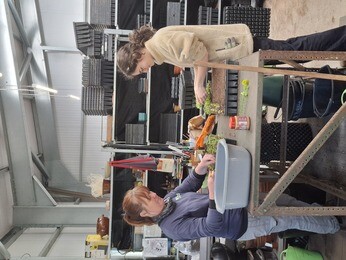 Weekly catch up with garden & propagation Weekly catch up with garden & propagation