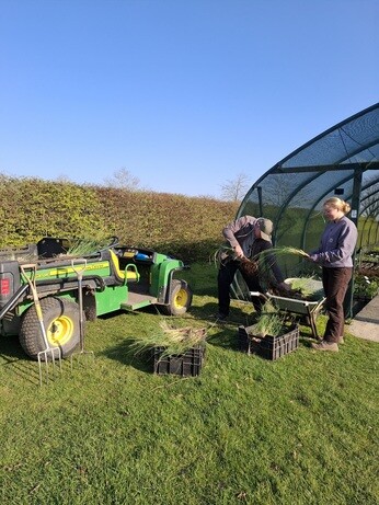 Weekly catch up with gardens & propagation Weekly catch up with gardens & propagation