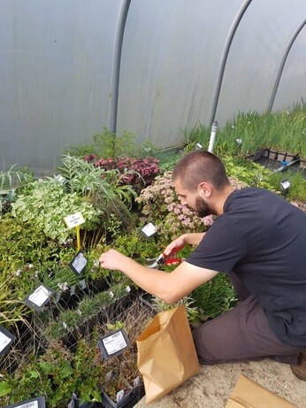 Weekly catch up with garden and propagation Weekly catch up with garden and propagation