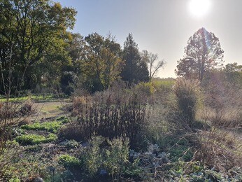 Adapting to Drought- what we have learnt Adapting to Drought- what we have learnt