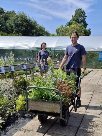 Weekly catch up with garden and propagation Weekly catch up with garden and propagation