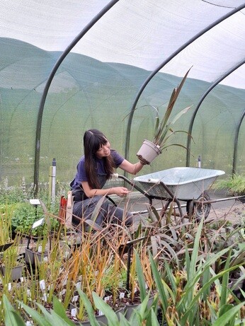 Weekly catch up with garden & propagation Weekly catch up with garden & propagation