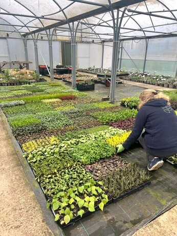 Weekly catch up with gardens & propagation Weekly catch up with gardens & propagation
