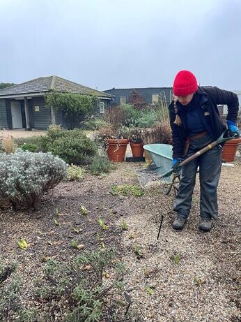 February news from the garden and propagation February news from the garden and propagation