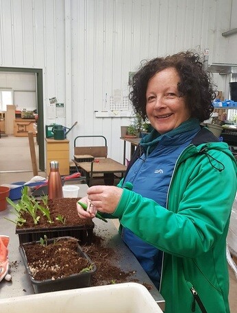 Weekly catch up with gardens & propagation Weekly catch up with gardens & propagation