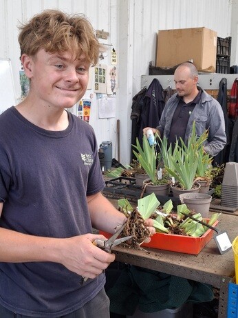 Weekly catch up with garden and propagation Weekly catch up with garden and propagation
