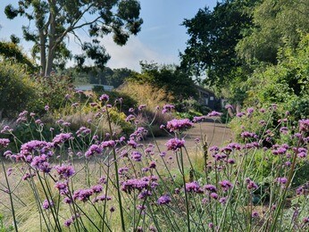 This week with the garden team- late May This week with the garden team- late May