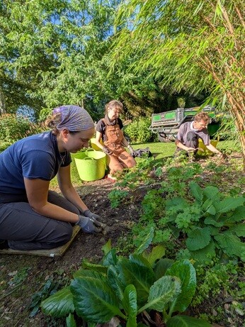 Weekly catch up with garden & propagation Weekly catch up with garden & propagation