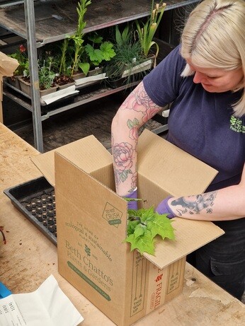 What to Expect When Ordering Plants What to Expect When Ordering Plants