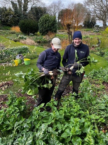 Weekly catch up with garden & propagation Weekly catch up with garden & propagation