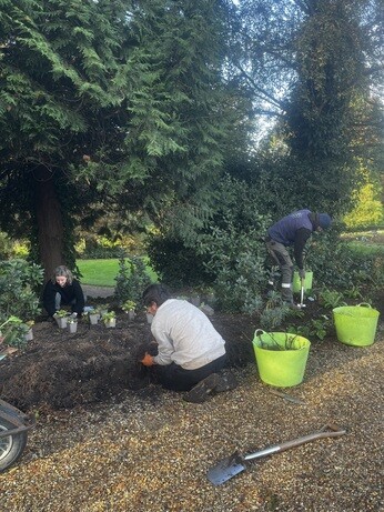 Weekly catch up with garden & propagation Weekly catch up with garden & propagation