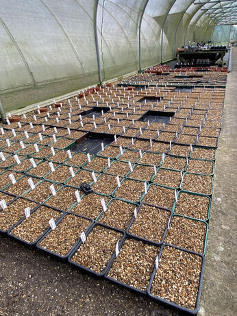 A guide to seed sowing A guide to seed sowing