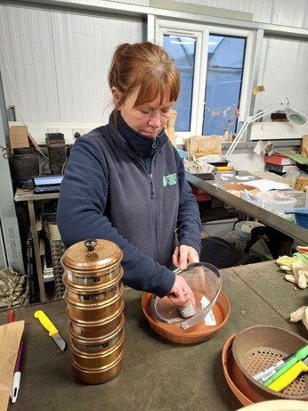 November news from the garden and propagation November news from the garden and propagation