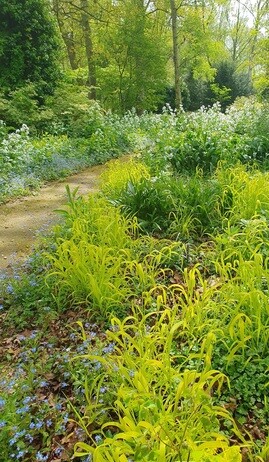 Fabulous foliage Fabulous foliage
