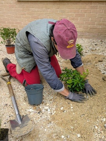 Weekly catch up with garden & propagation Weekly catch up with garden & propagation