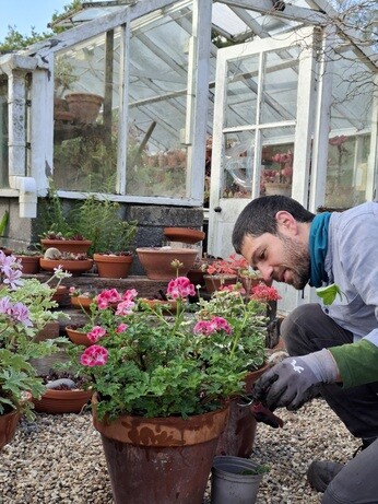 Weekly catch up with garden & propagation Weekly catch up with garden & propagation