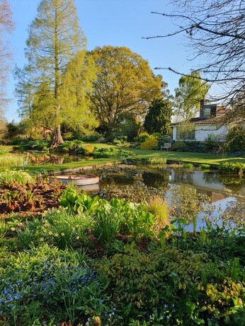 Weekly catch up with gardens & propagation Weekly catch up with gardens & propagation
