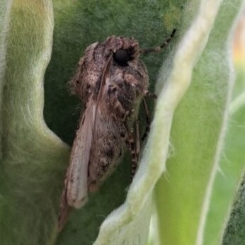 Wild Words from the Ground - November Wild Words from the Ground - November