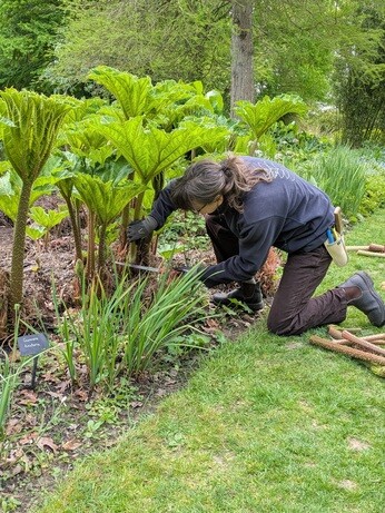 Weekly catch up with gardens & propagation Weekly catch up with gardens & propagation