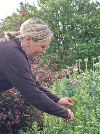 Weekly catch up with garden and propagation Weekly catch up with garden and propagation