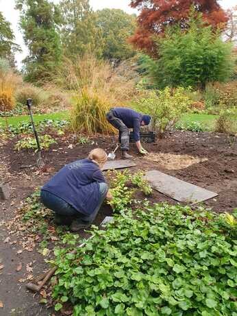 A look back at 2024 with the garden team A look back at 2024 with the garden team