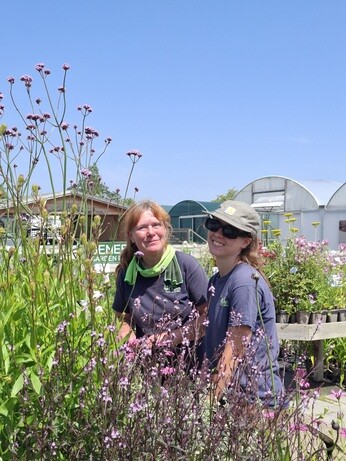 Weekly catch up with garden and propagation Weekly catch up with garden and propagation