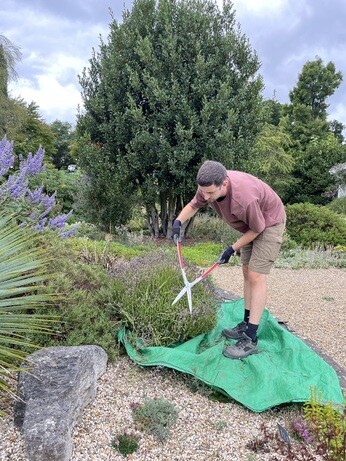 Weekly catch up with garden & propagation Weekly catch up with garden & propagation