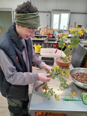 Weekly catch up with garden & propagation Weekly catch up with garden & propagation