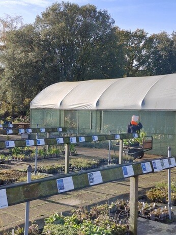 Weekly catch up with garden & propagation Weekly catch up with garden & propagation
