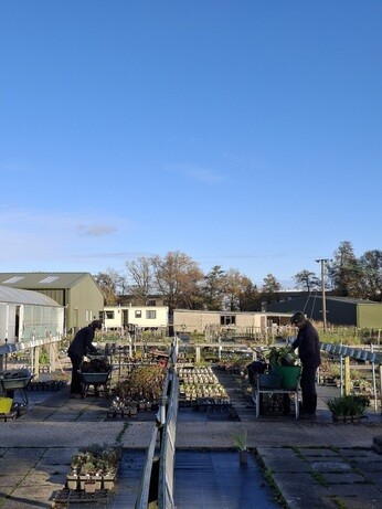 Weekly catch up with garden & propagation Weekly catch up with garden & propagation