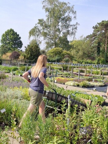 Weekly catch up with garden & propagation Weekly catch up with garden & propagation