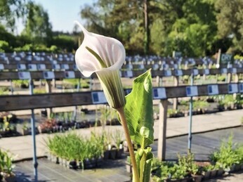 Propagation jobs this month Propagation jobs this month