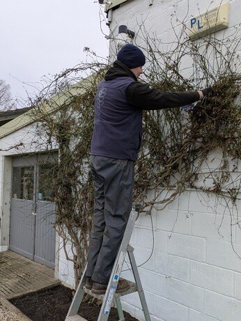 Weekly catch up with garden & propagation Weekly catch up with garden & propagation