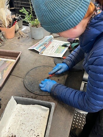 Weekly catch up with garden & propagation Weekly catch up with garden & propagation