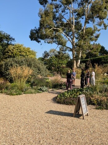 Weekly catch up with garden & propagation Weekly catch up with garden & propagation