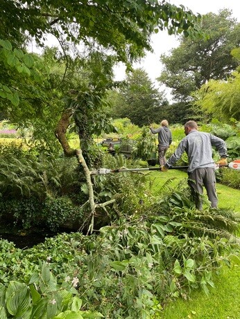Weekly catch up with garden & propagation Weekly catch up with garden & propagation