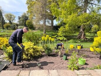 Rejuvenating a Tired Garden Border Rejuvenating a Tired Garden Border