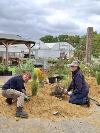 Weekly catch up with garden and propagation Weekly catch up with garden and propagation