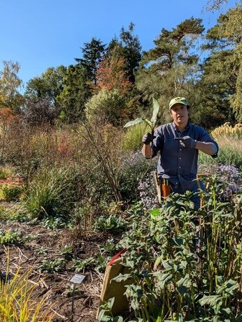 Weekly catch up with garden & propagation Weekly catch up with garden & propagation