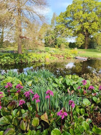 Weekly catch up with garden & propagation Weekly catch up with garden & propagation
