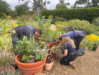 This week with the garden team- late May This week with the garden team- late May