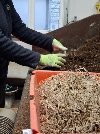 Weekly catch up with garden & propagation Weekly catch up with garden & propagation