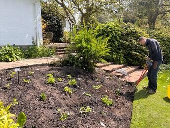 Rejuvenating a Tired Garden Border Rejuvenating a Tired Garden Border