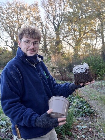 Weekly catch up with garden & propagation Weekly catch up with garden & propagation
