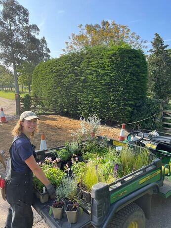 New area of drought-tolerant planting New area of drought-tolerant planting