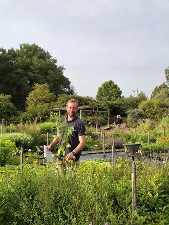 Weekly catch up with garden & propagation Weekly catch up with garden & propagation