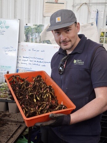 Weekly catch up with garden & propagation Weekly catch up with garden & propagation