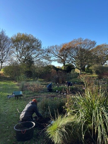 Weekly catch up with garden & propagation Weekly catch up with garden & propagation