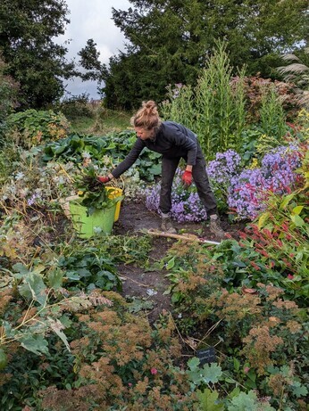 A look back at 2024 with the garden team A look back at 2024 with the garden team