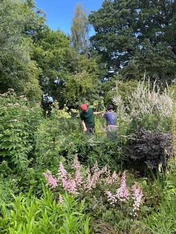 Weekly catch up with garden and propagation Weekly catch up with garden and propagation